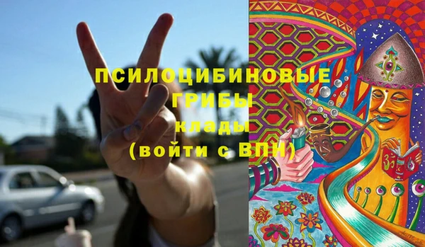 стаф Абинск