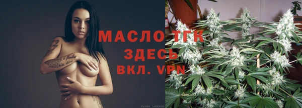 стаф Абинск