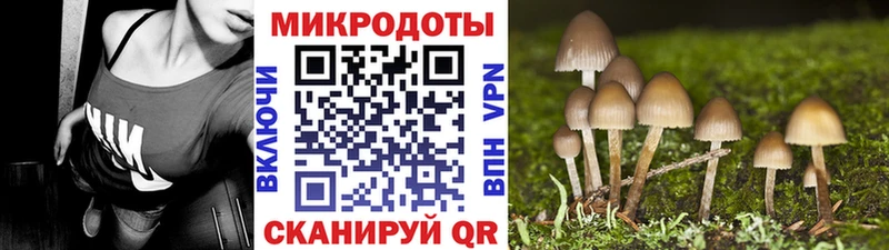 Псилоцибиновые грибы мицелий  закладки  Тольятти 