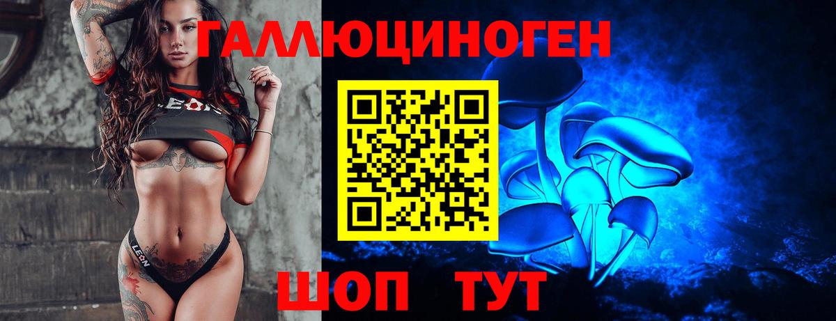 где продают   Вход с VPN  Тольятти  Галлюциногенные грибы мухоморы  Галлюциногенные грибы прущие грибы 